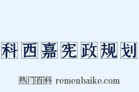 科西嘉宪政规划是什么意思的图片